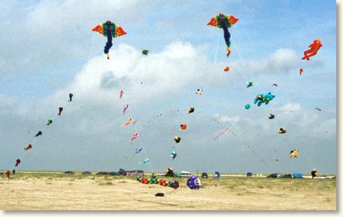 Billed nr. 14501, 7/9-2002