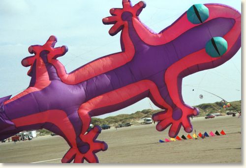 Billed nr. 14507, 7/9-2002