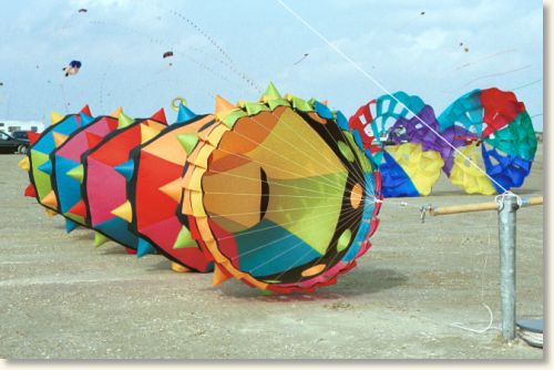 Billed nr. 14516, 7/9-2002