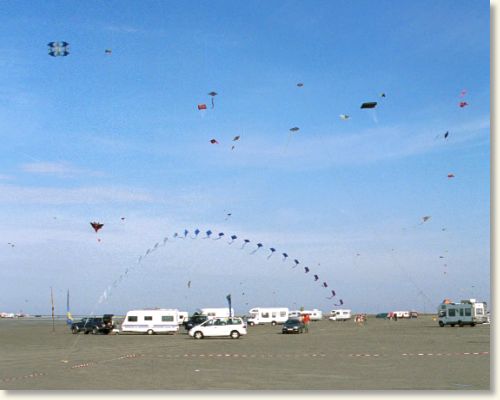 Billed nr. 14621, 8/9-2002