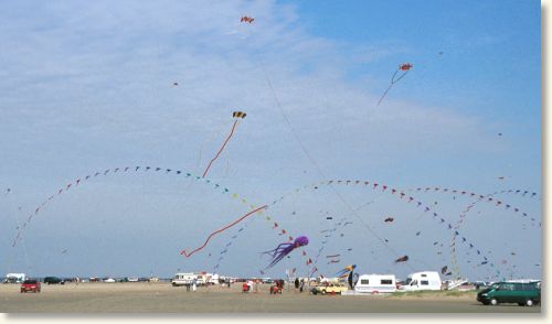 Billed nr. 14627, 8/9-2002