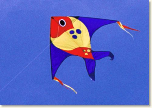 Billed nr. 14631, 8/9-2002