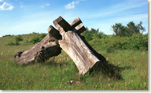 Earth - the receptive