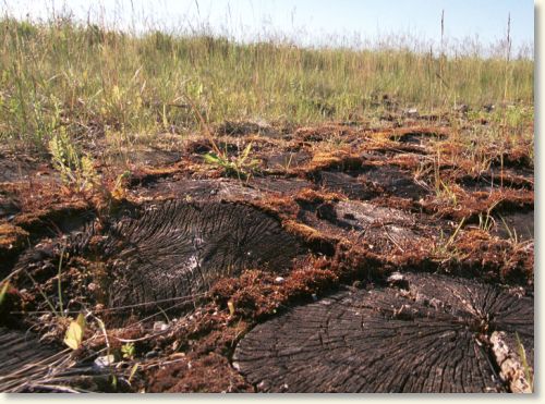 Steder for stilhed og udsyn